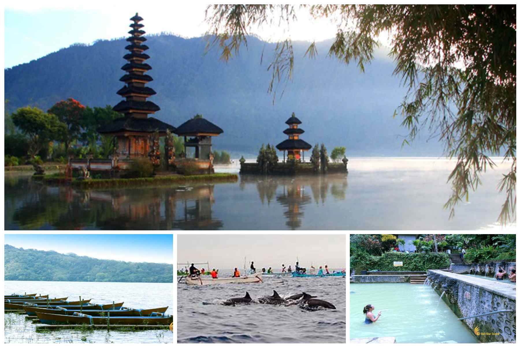 Dolphins, Bali Temples Tours and Hot Springs - Rhidays Holiday